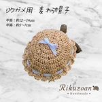 リクガメ用　麦わら帽子(アイボリー)
