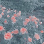 さゆさま♡専用ページ