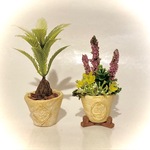 【在庫整理品 】エントランスのミニチュア植物 2点セット