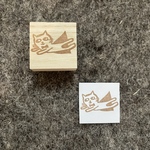正義の味方！スーパーマンねこ