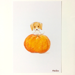 *Mandarin orange*