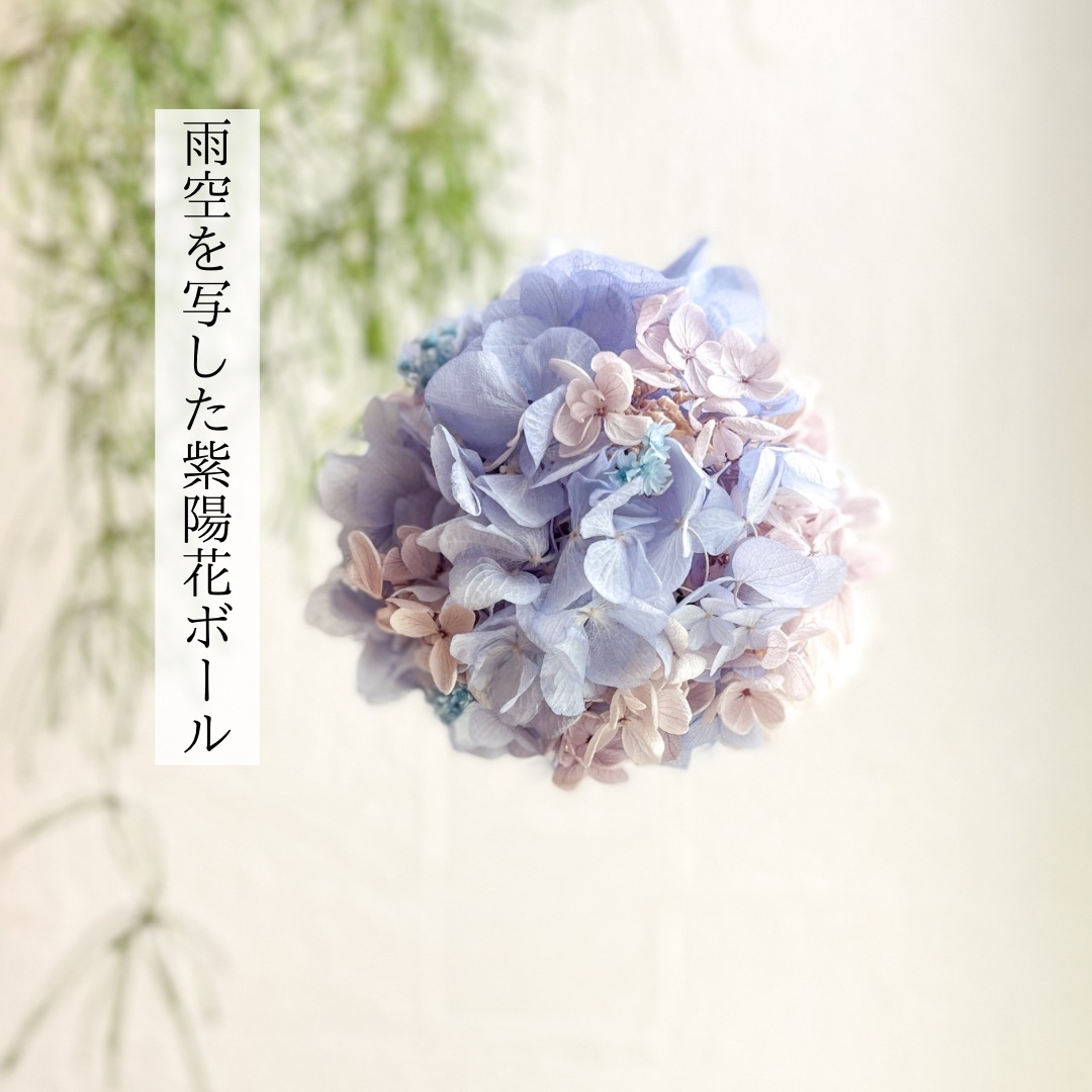 雨空を映した紫陽花のフラワーボール フライングボール ブルー