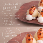 🚨訳あり🚨*タレたっぷり♪みたらしかめろんぱん*