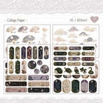 S170 collagesheet