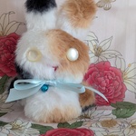 うさっこ（ミケ）