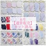 6月通常販売カット済みセット