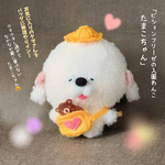 【再販】ビションフリーゼの入園わんこ　たまこちゃん