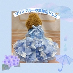 犬猫うさちゃん服 【即納OK】　　　　　　　　　　　　　　　　　　　　　　マリンブルーの紫陽花ドレス