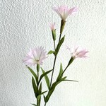 なでしこ（カワラナデシコ）2本の１セット　　手染め花・布花　　　玄関・和の空間・お部屋のインテリアなどに・・・