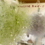 ༜rika5257様 専用ページ༜