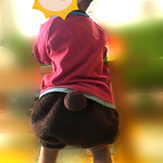 くまさんのおしりかぼちゃパンツ