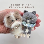 【オーダー作品】うちの仔ねこぐるみ 虹色ニャンコさま専用ページ