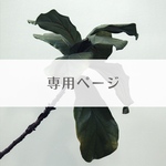 chaana 様 専用