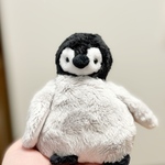 コウテイペンギンヒナのぬいぐるみ　こぺんた　②