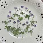 野の花（押し花)