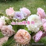 daina様オーダー服