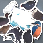 鳥のメッセージレター<水辺の鳥たち>