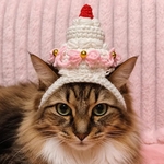 犬猫用 誕生日や記念日のお祝い帽子🎉🎂