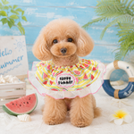 犬スタイ【Happy Summer】スイカ柄×イエローのネオンピンクフリルスタイ｜超小型犬〜小型犬用 ペット用スタイ