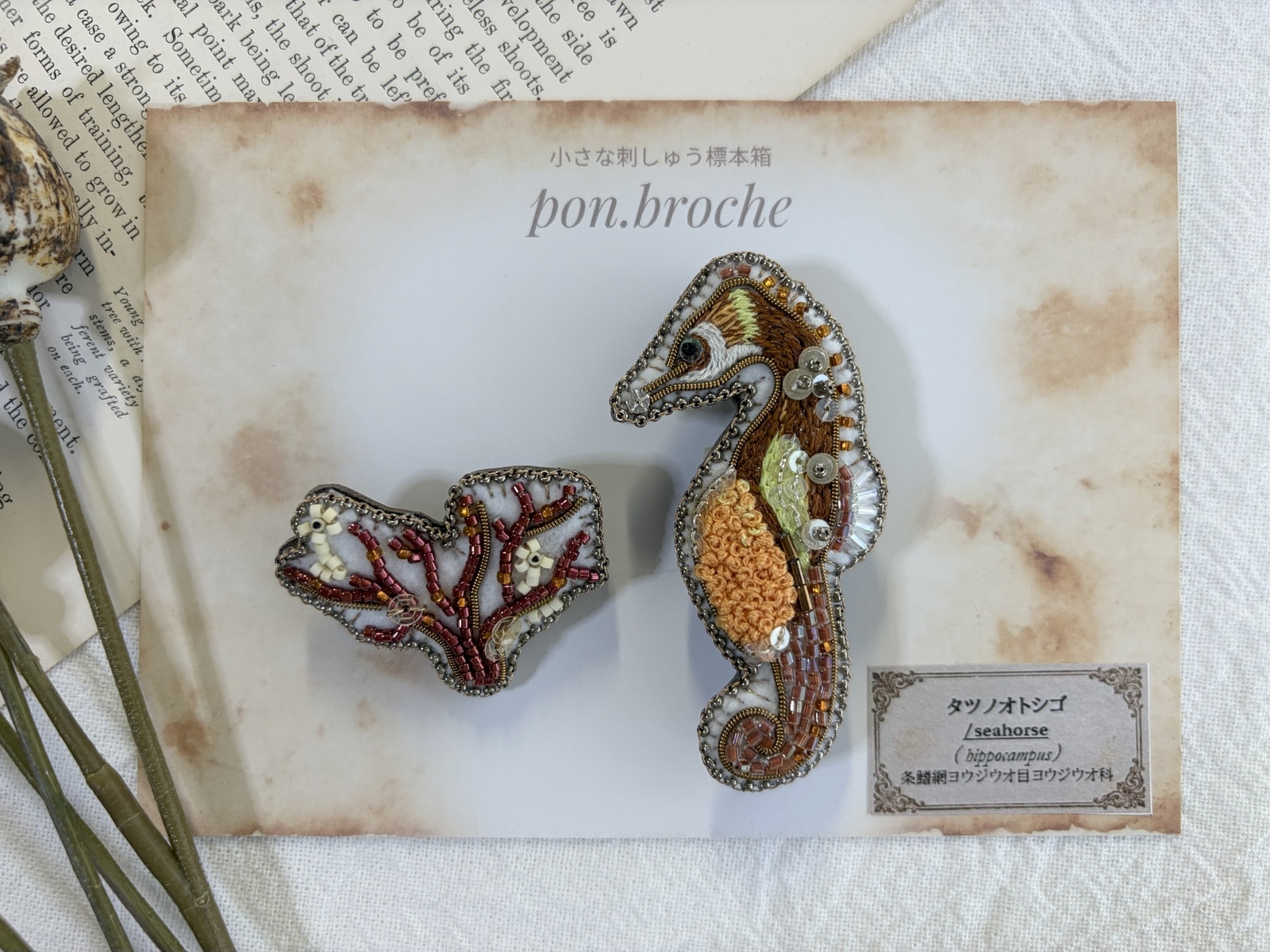 手刺繍】タツノオトシゴ親子の刺繍標本箱/ブローチ・ポストカード