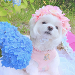 【在庫限り】紫陽花 花冠 淡い ピンク ♡ 紫陽花アフロ カチューシャ ヘッドドレス 犬 猫 ペット 帽子 アジサイ かぶりもの 被り物 誕生日 うちの子記念日 花 冠 バースデー リボン