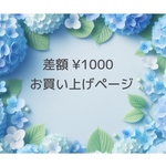 差額¥1000分お買い上げページ
