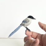 羊毛フェルト鳥 オナガ ハンドメイド