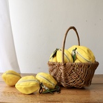 革果実《Limone di Amalfi》  （小さめレモン）