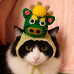 犬猫用 辰の干支帽子🐲【緑】