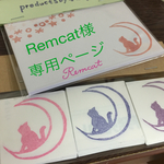 カラフルにゃにゃんこセット