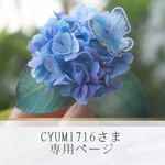 chumi716 さま専用ページ