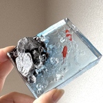 【6/13(土)21時〜販売】双景の金魚✴︎清流(お写真のものをお届けします)