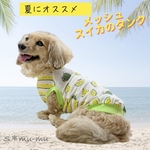 犬服【メッシュ🍉スイカのタンクyellow】
