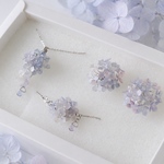 花の便り ~紫陽花~  set