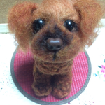 もこもこトイプードルちゃん