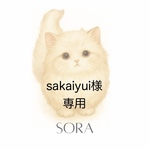 【sakaiyui様専用】A6 リフィルバインダー貯金韓国