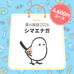 BIRDSTORY夏の福袋 2026（シマエナガ / 4600円コース）