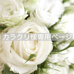 カラクリ様専用ページ