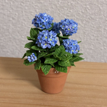 紫陽花の花鉢　3