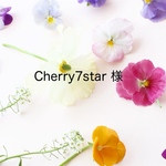 【 Cherry7star様 】おまとめページ  レジンヘアクリップ ヘアピン 