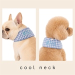ペット用クールネック　お名前刺繍入り❄️ Pet Cool Neck ❄️