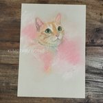 うちのこ No.039