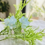 色が変わる紫陽花。