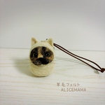 だるま猫ちゃん☆サビちゃん
