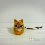 だるま猫ちゃん☆茶トラ