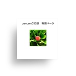 crescent032様　専用ページ