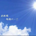 専用ページ❣️