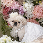 犬 ホワイト 花冠 ラナンキュラス ♡フリル リボン ヘッドドレス 帽子 猫 ペット 花 カチューシャ かぶりもの 誕生日 被り物 うちの子記念日 バースデー 冠 リボン 白