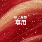 ⭐︎桜子豚様専用⭐︎