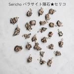 特価★セリコ隕石の原石ペンダント